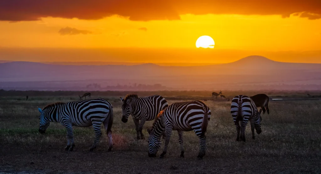 03 Days Ol Pejeta Luxury Safari