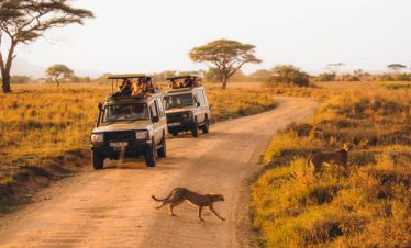 10 Days Kenya & Tanzania