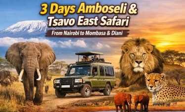 3-Days-Amboseli-–-Tsavo-east-MombasaDiani-Watamu-safari.