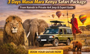 3 Days Masai Mara Safari