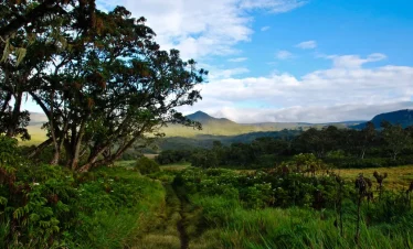 5-Day Mount Kenya Climbing