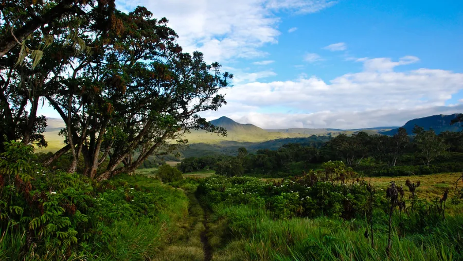 5-Day Mount Kenya Climbing