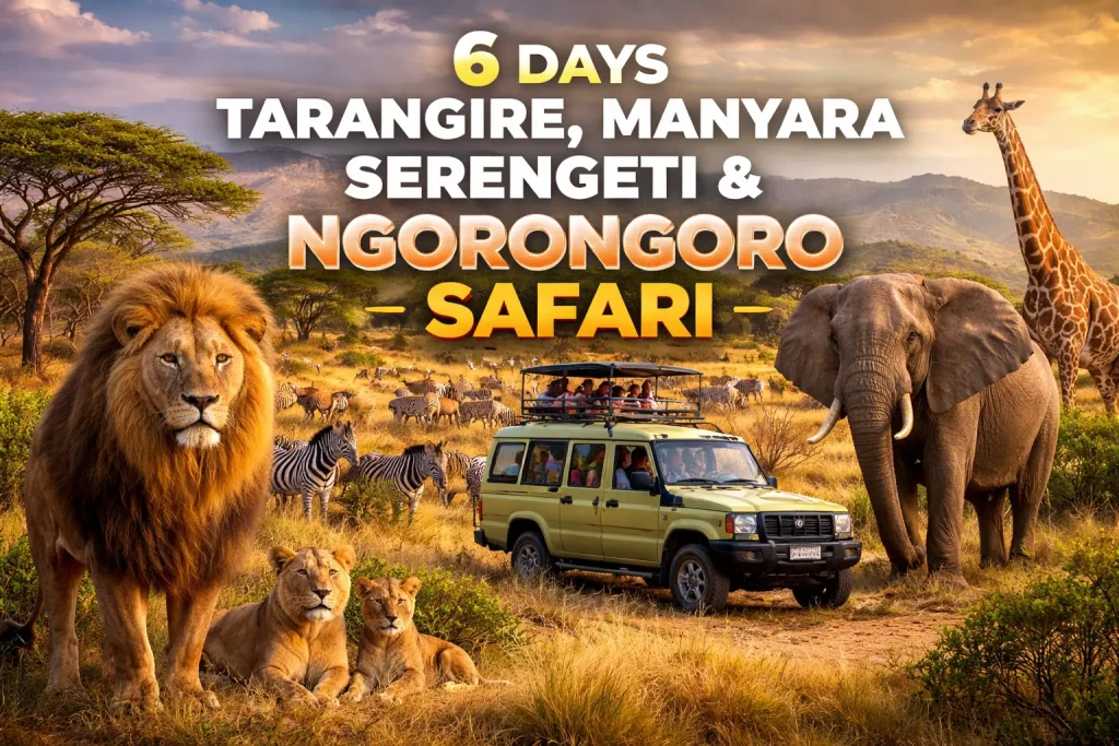 6 Days Tanzania Safari Serengeti Ngorongoro