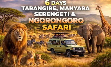 6 Days Tanzania Safari Serengeti Ngorongoro