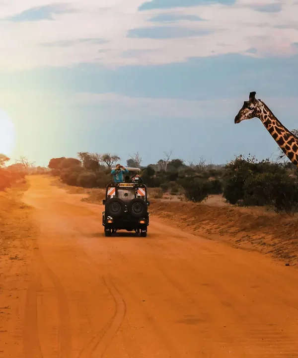 Masai Mara Nakuru Amboseli Safari Kenya