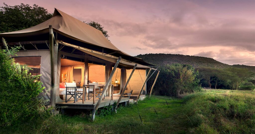 masai mara safaris