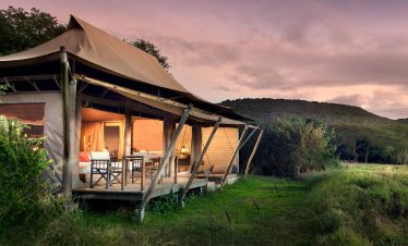 masai mara safaris